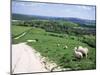 Sheep on the South Downs Near Lewes, East Sussex, England, United Kingdom-Jenny Pate-Mounted Photographic Print