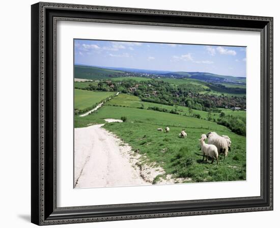 Sheep on the South Downs Near Lewes, East Sussex, England, United Kingdom-Jenny Pate-Framed Photographic Print