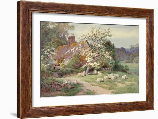 Sheep outside a Cottage in Springtime-Charles James Adams-Framed Giclee Print