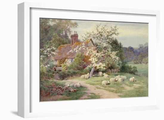 Sheep outside a Cottage in Springtime-Charles James Adams-Framed Giclee Print