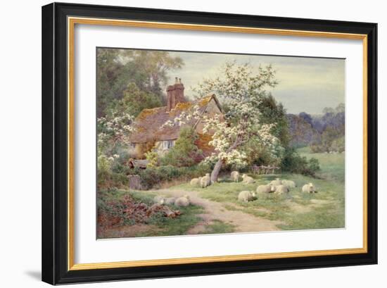 Sheep outside a Cottage in Springtime-Charles James Adams-Framed Giclee Print