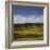 Sheep Pasture in the Moonlight, Wharariki, Tasman, South Island, New Zealand-Rainer Mirau-Framed Photographic Print