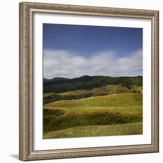 Sheep Pasture in the Moonlight, Wharariki, Tasman, South Island, New Zealand-Rainer Mirau-Framed Photographic Print