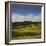 Sheep Pasture in the Moonlight, Wharariki, Tasman, South Island, New Zealand-Rainer Mirau-Framed Photographic Print