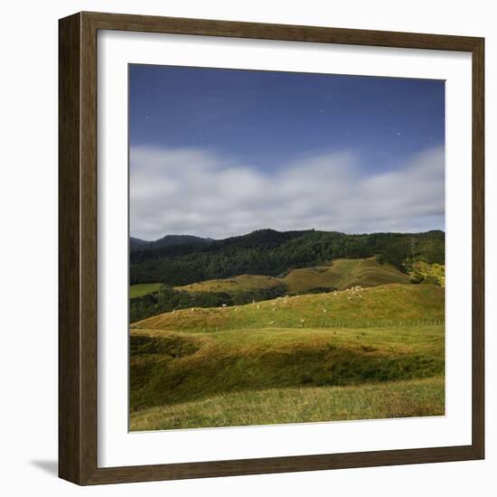 Sheep Pasture in the Moonlight, Wharariki, Tasman, South Island, New Zealand-Rainer Mirau-Framed Photographic Print