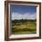 Sheep Pasture in the Moonlight, Wharariki, Tasman, South Island, New Zealand-Rainer Mirau-Framed Photographic Print