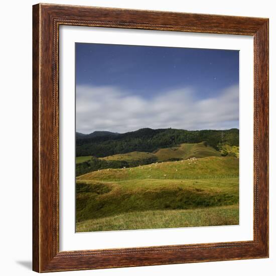 Sheep Pasture in the Moonlight, Wharariki, Tasman, South Island, New Zealand-Rainer Mirau-Framed Photographic Print