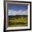 Sheep Pasture in the Moonlight, Wharariki, Tasman, South Island, New Zealand-Rainer Mirau-Framed Photographic Print