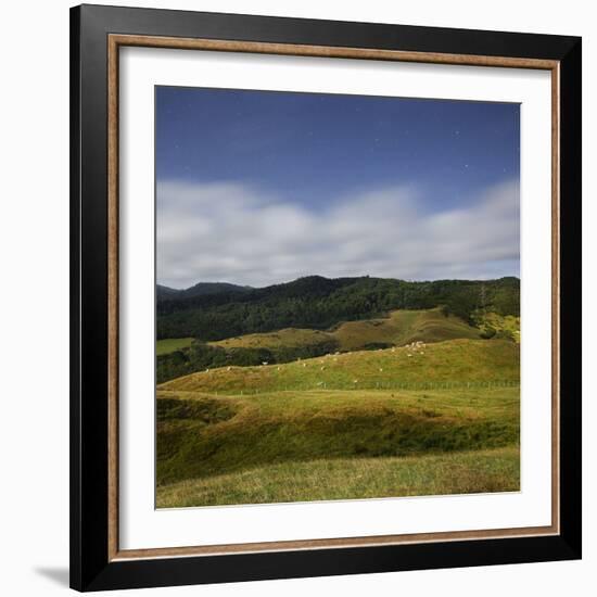 Sheep Pasture in the Moonlight, Wharariki, Tasman, South Island, New Zealand-Rainer Mirau-Framed Photographic Print