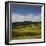 Sheep Pasture in the Moonlight, Wharariki, Tasman, South Island, New Zealand-Rainer Mirau-Framed Photographic Print