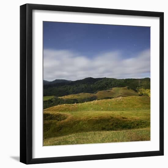Sheep Pasture in the Moonlight, Wharariki, Tasman, South Island, New Zealand-Rainer Mirau-Framed Photographic Print