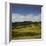 Sheep Pasture in the Moonlight, Wharariki, Tasman, South Island, New Zealand-Rainer Mirau-Framed Photographic Print