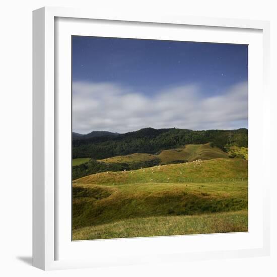 Sheep Pasture in the Moonlight, Wharariki, Tasman, South Island, New Zealand-Rainer Mirau-Framed Photographic Print