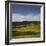 Sheep Pasture in the Moonlight, Wharariki, Tasman, South Island, New Zealand-Rainer Mirau-Framed Photographic Print