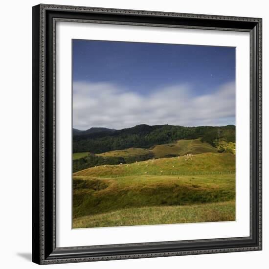 Sheep Pasture in the Moonlight, Wharariki, Tasman, South Island, New Zealand-Rainer Mirau-Framed Photographic Print