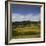 Sheep Pasture in the Moonlight, Wharariki, Tasman, South Island, New Zealand-Rainer Mirau-Framed Photographic Print