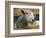 Sheep Poking Head Through Fence-Chase Swift-Framed Photographic Print