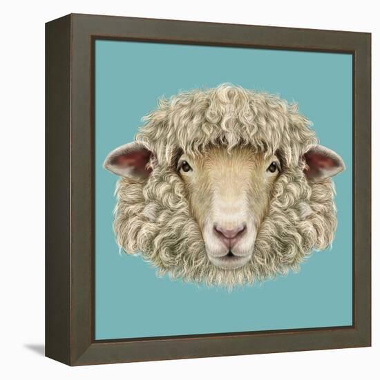 Sheep Portrait. Illustrated Portrait of Ram or Sheep on Blue Background.-ant_art-Framed Stretched Canvas