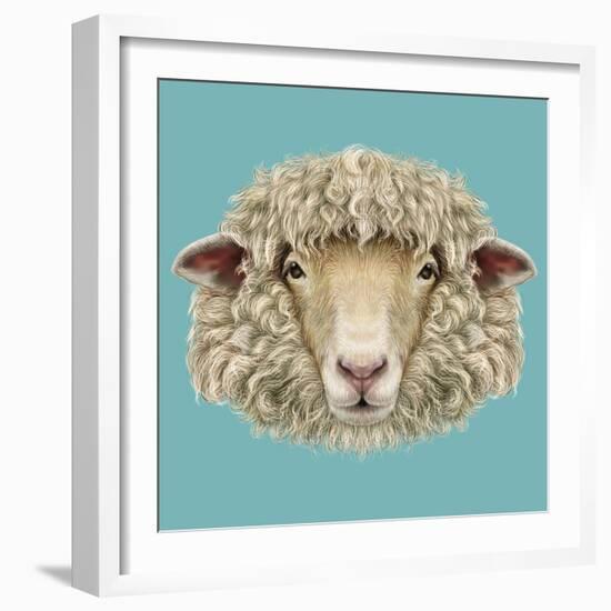 Sheep Portrait. Illustrated Portrait of Ram or Sheep on Blue Background.-ant_art-Framed Art Print