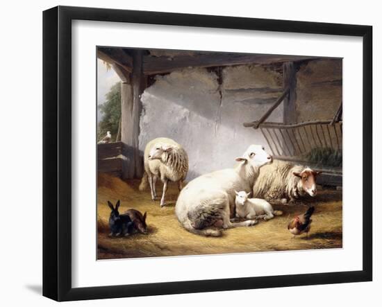 Sheep, Rabbits and a Chicken in a Barn, 1859-Eugene Joseph Verboeckhoven-Framed Giclee Print