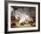 Sheep, Rabbits and a Chicken in a Barn, 1859-Eugene Joseph Verboeckhoven-Framed Giclee Print