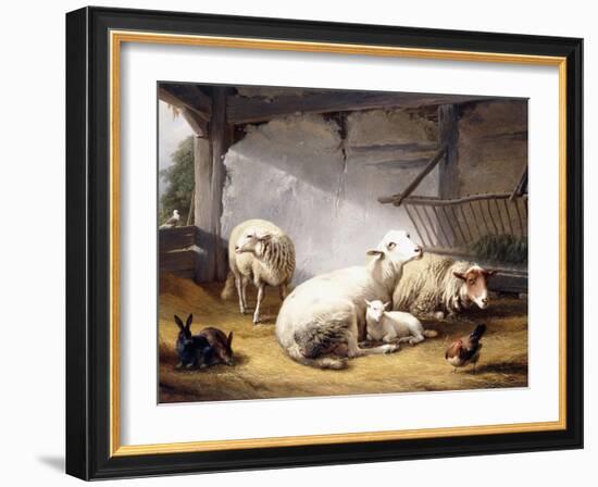 Sheep, Rabbits and a Chicken in a Barn, 1859-Eugene Joseph Verboeckhoven-Framed Giclee Print