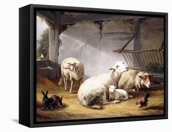 Sheep, Rabbits and a Chicken in a Barn, 1859-Eugene Joseph Verboeckhoven-Framed Premier Image Canvas