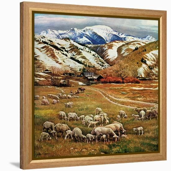 "Sheep Ranch," March 18, 1961-John Clymer-Framed Premier Image Canvas