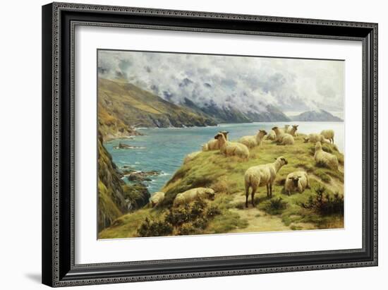 Sheep Reposing, Dalby Bay, Isle of Man-Basil Bradley-Framed Giclee Print