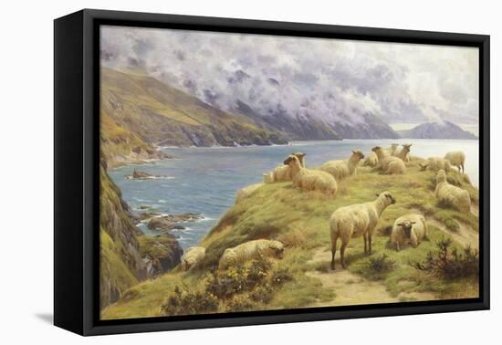 Sheep Reposing, Dalby Bay, Isle of Man-Basil Bradley-Framed Premier Image Canvas
