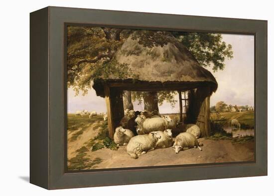 Sheep Resting under a Shelter-Thomas Sidney Cooper-Framed Premier Image Canvas