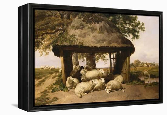 Sheep Resting under a Shelter-Thomas Sidney Cooper-Framed Premier Image Canvas