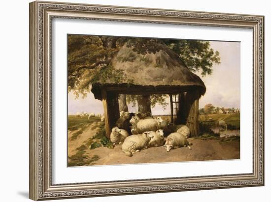 Sheep Resting under a Shelter-Thomas Sidney Cooper-Framed Giclee Print