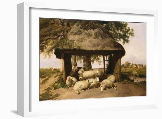 Sheep Resting under a Shelter-Thomas Sidney Cooper-Framed Giclee Print