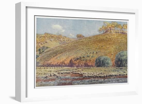 Sheep Run-Percy F.s. Spence-Framed Art Print