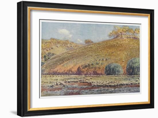 Sheep Run-Percy F.s. Spence-Framed Art Print