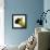 Sheep's Head-Mark Gemmell-Framed Premier Image Canvas displayed on a wall