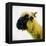 Sheep's Head-Mark Gemmell-Framed Premier Image Canvas