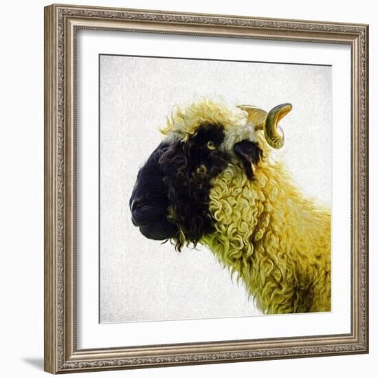 Sheep's Head-Mark Gemmell-Framed Photographic Print