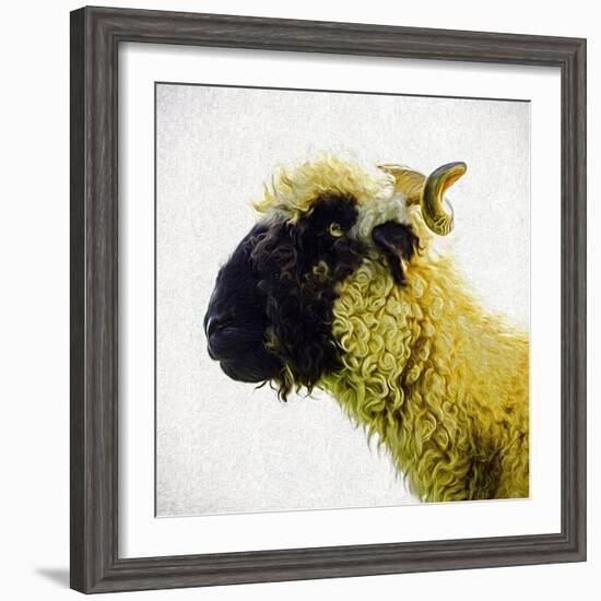 Sheep's Head-Mark Gemmell-Framed Photographic Print