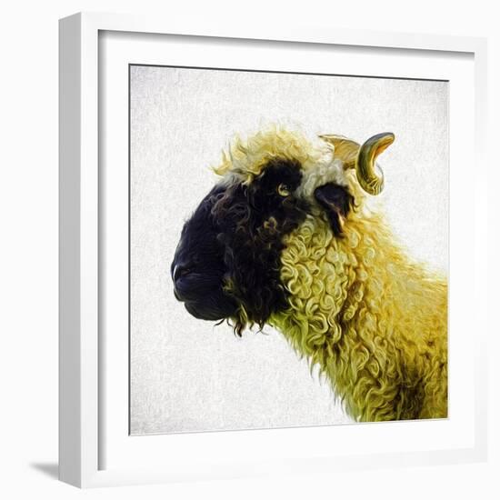 Sheep's Head-Mark Gemmell-Framed Photographic Print