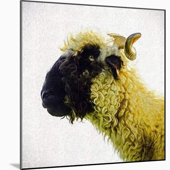 Sheep's Head-Mark Gemmell-Mounted Photographic Print
