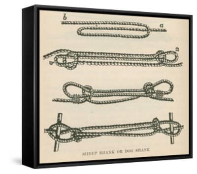 dogshank knot