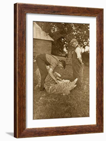 Sheep Shearing First Prize Winners, Devon, 1938-null-Framed Premium Photographic Print