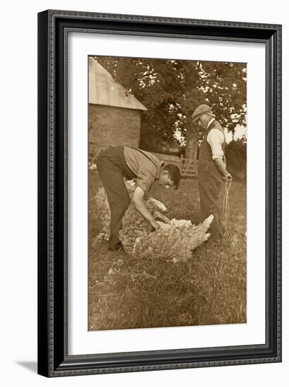 Sheep Shearing First Prize Winners, Devon, 1938-null-Framed Premium Photographic Print