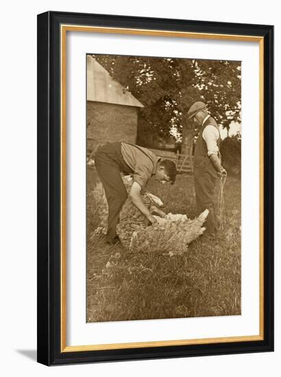 Sheep Shearing First Prize Winners, Devon, 1938-null-Framed Premium Photographic Print
