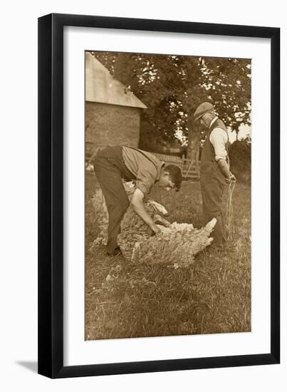 Sheep Shearing First Prize Winners, Devon, 1938-null-Framed Photographic Print