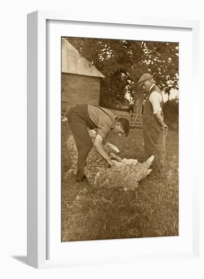 Sheep Shearing First Prize Winners, Devon, 1938-null-Framed Photographic Print