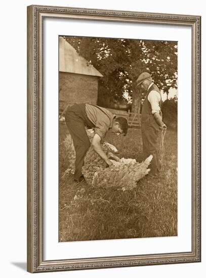 Sheep Shearing First Prize Winners, Devon, 1938-null-Framed Photographic Print