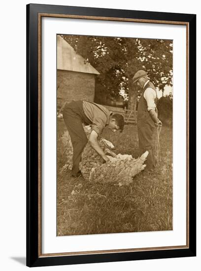 Sheep Shearing First Prize Winners, Devon, 1938-null-Framed Photographic Print